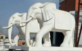 石雕大象適合擺放在哪里？